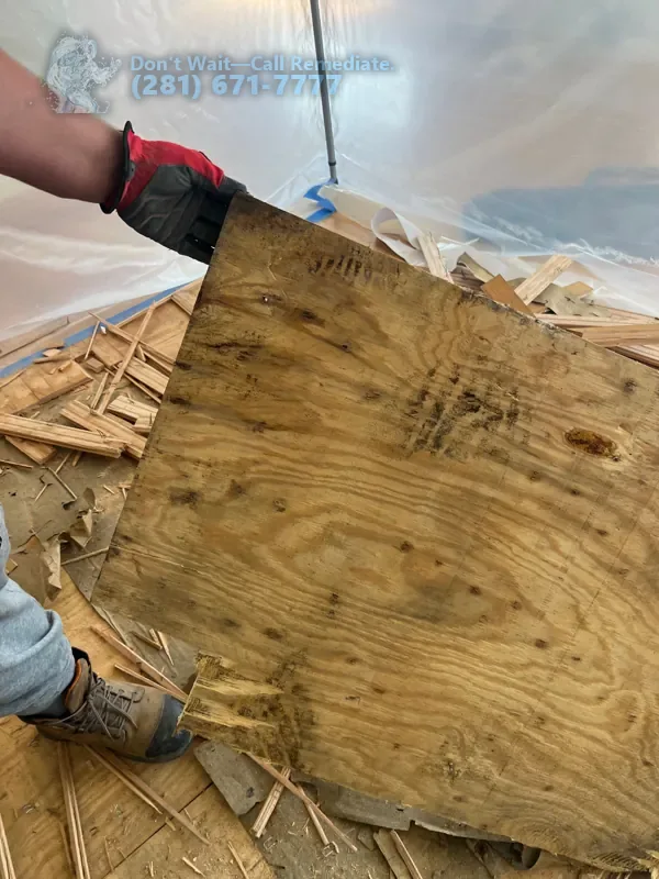 Wet plywood subfloor pulled up during the tear-out