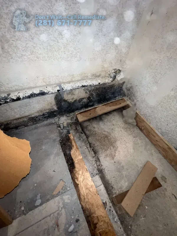 Mold on the framing along the wall, exposed after the floor came out